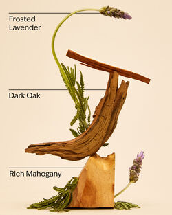 Mahogany Teakwood Body Wash image number null