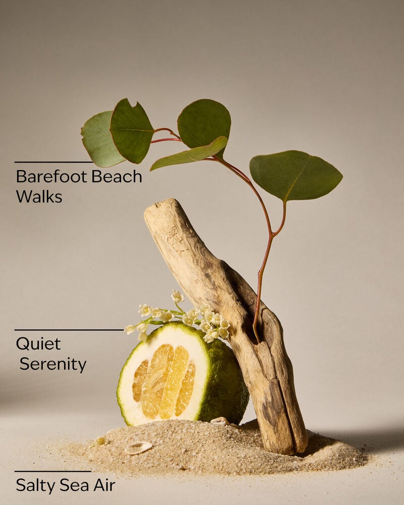 Ocean Town Bound Wallflowers Fragrance Refill Wallflowers Fragrance Refill