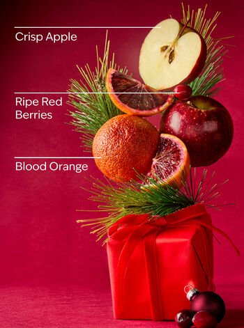 Bright Christmas Morning Exfoliating Glow Body Scrub Exfoliating Glow Body Scrub