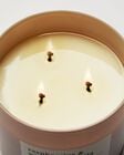 Raspberries & Whipped Vanilla 3-Wick Candle image number null