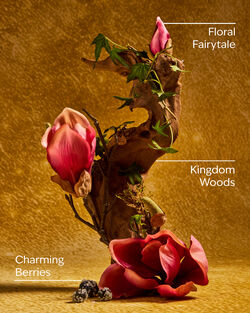 Life's a Fairytale Lip Gloss image number null