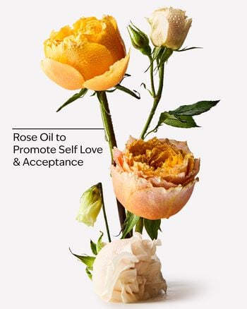 Heirloom Rose Essential Oil Mist Essential Oil Mist