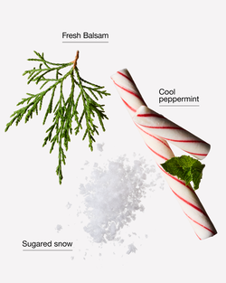 Twisted Peppermint Body Lotion