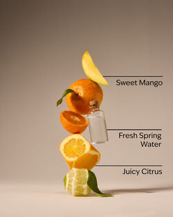 Midnight Blue Citrus 3-Wick Candle image number null