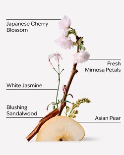Japanese Cherry Blossom Antiperspirant Deodorant image number null