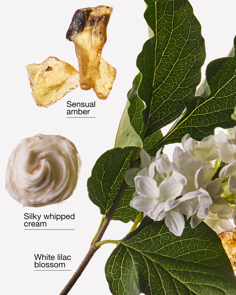 Milk & Musk Wallflowers Fragrance Refill Wallflowers Fragrance Refill