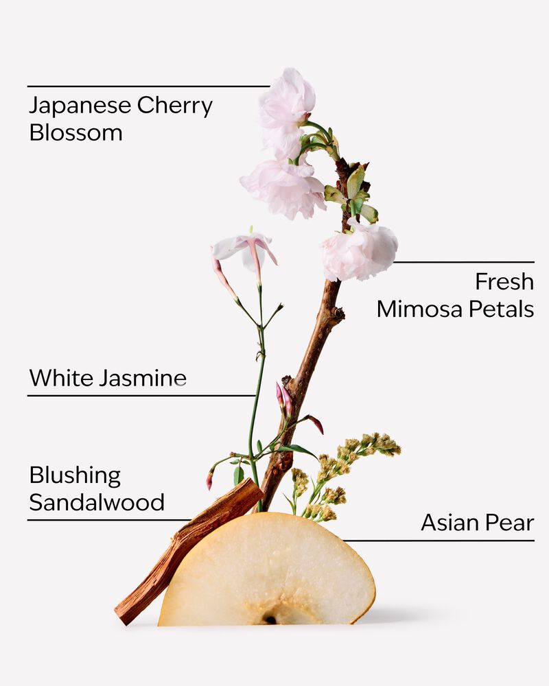 Japanese Cherry Blossom Wallflowers Fragrance Refill Wallflowers Fragrance Refill