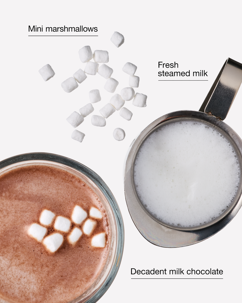 Hot Cocoa & Cream Wallflowers Fragrance Refill Wallflowers Fragrance Refill