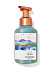 Jade Oasis Gentle & Clean Foaming Hand Soap image number null