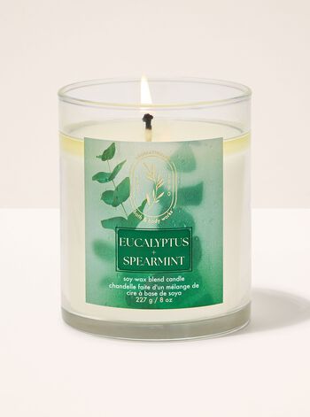Eucalyptus Spearmint Single Wick Candle Single Wick Candle