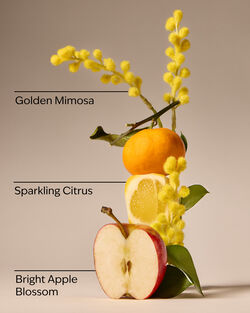 Hello Happiness Fine Fragrance Mist image number null