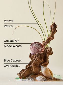 Ocean 3-Wick Candle image number null