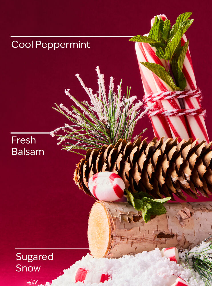 Twisted Peppermint Hand Cream Hand Cream