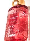 Champagne Toast Body Wash image number null