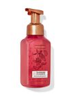 Raspberry Tangerine Gentle & Clean Foaming Hand Soap image number null
