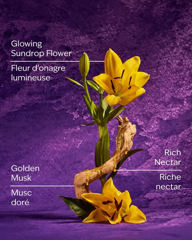 Rapunzel Ultimate Hydration Body Cream Ultimate Hydration Body Cream