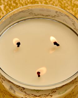 Life's a Fairytale 3-Wick Candle image number null