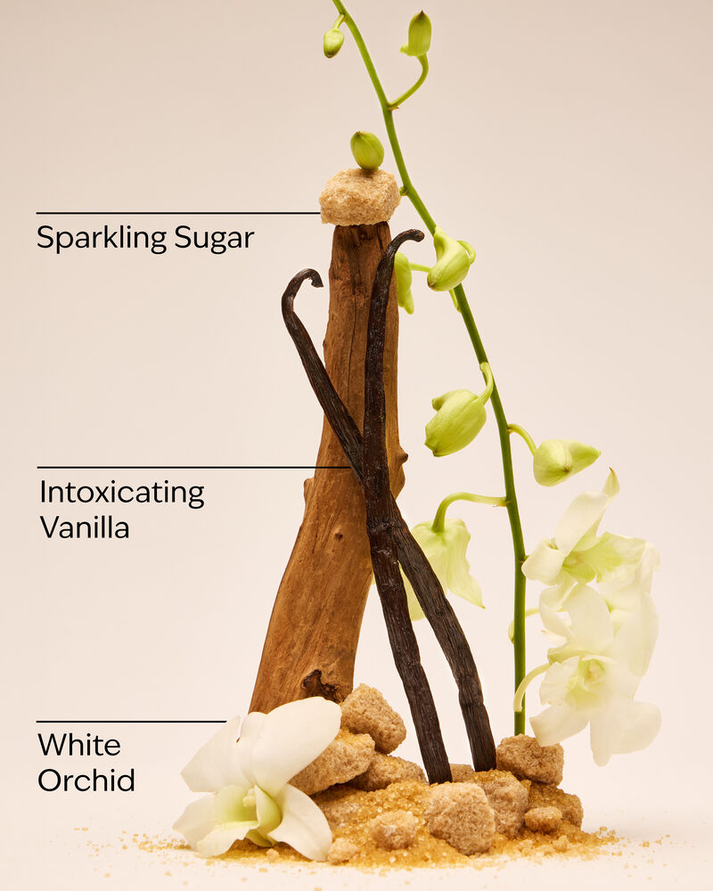 Warm Vanilla Sugar Body Butter Body Butter