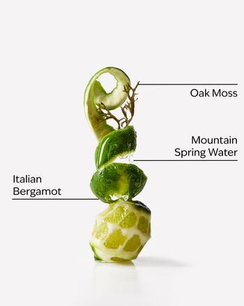 Freshwater Body Spray Body Spray