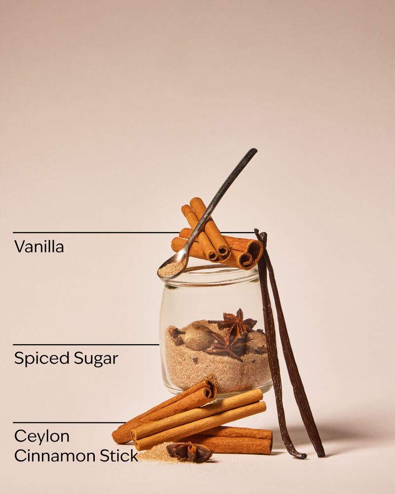 Cinnamon Stick Wallflowers Fragrance Refills, 2-Pack Wallflowers Fragrance Refills, 2-Pack