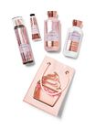 Champagne Toast Gift Bag Set image number null