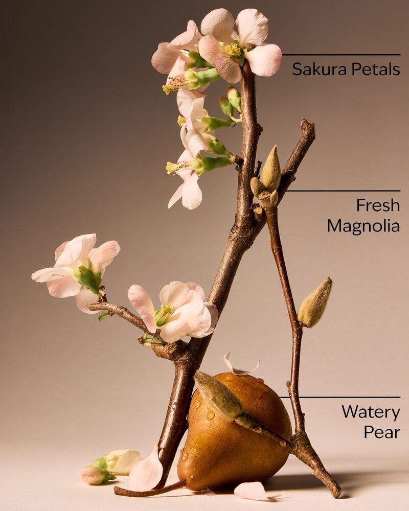 Forever Cherry Blossom Ultimate Hydration Body Cream Ultimate Hydration Body Cream