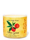 Citrus Grove 3-Wick Candle image number null