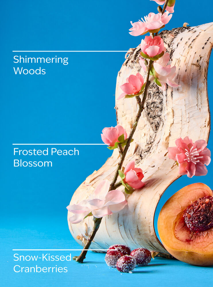Snowy Peach Berry Car Fragrance Refill Car Fragrance Refill