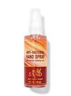 Wild Sand Hand Sanitizer Spray image number null