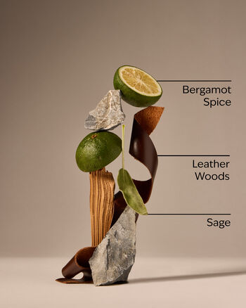 Graphite 3-in-1 Hair, Face & Body Wash 3-in-1 Hair, Face & Body Wash