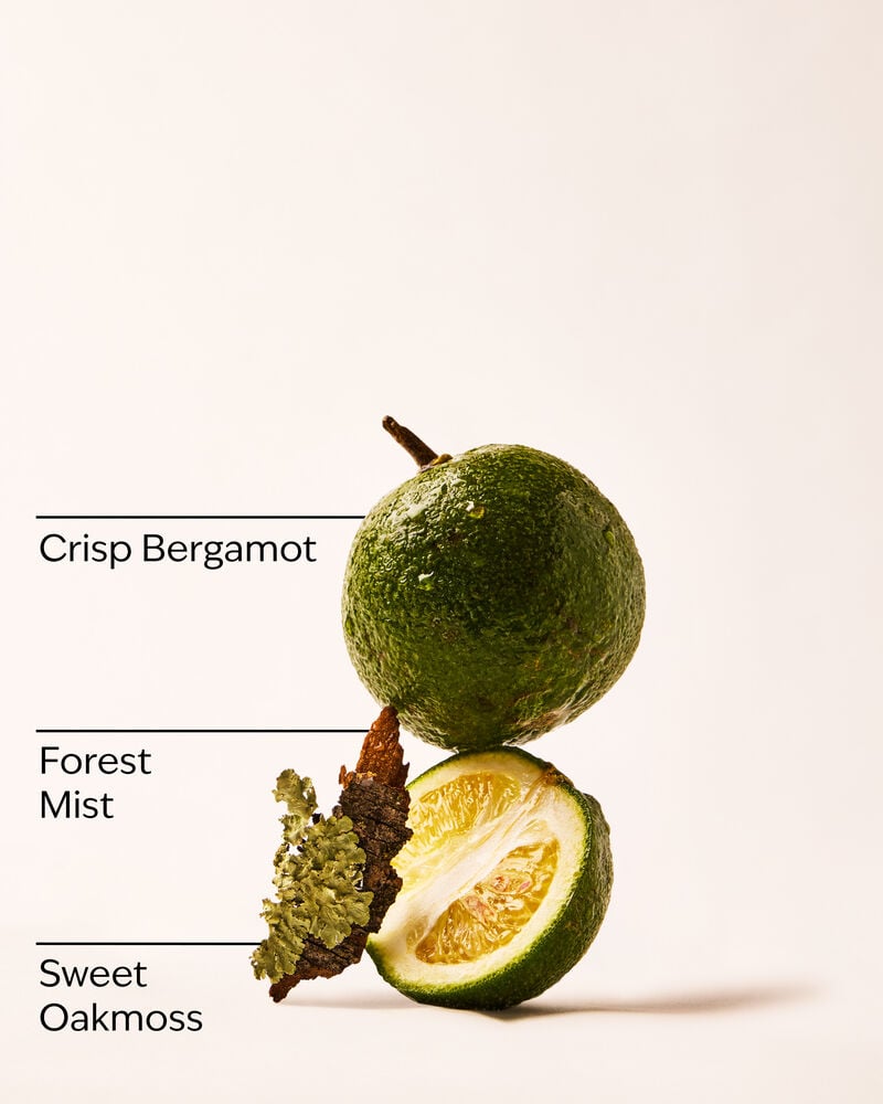 A Quiet Escape Wallflowers Fragrance Refill Wallflowers Fragrance Refill