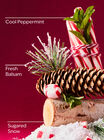 Twisted Peppermint PocketBac Hand Sanitizer image number null
