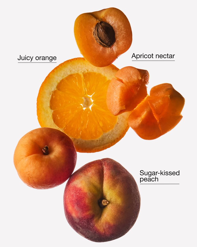 Apricot Crush Wallflowers Fragrance Refill Wallflowers Fragrance Refill