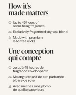 Blush Amber & Peony 3-Wick Candle