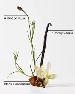 Noir Body Spray image number null