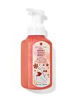 Snowy Peach Berry Gentle & Clean Foaming Hand Soap image number null