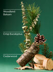 Fresh Balsam Single Wick Candle image number null