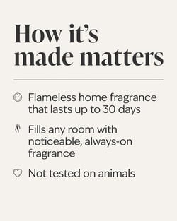 Library Nook Wallflowers Fragrance Refill