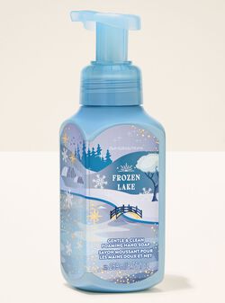 Frozen Lake Gentle & Clean Foaming Hand Soap image number null
