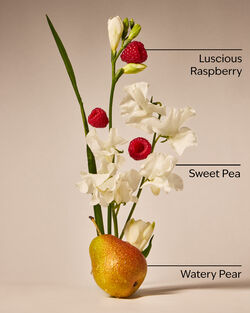Sweet Pea Body Wash image number null
