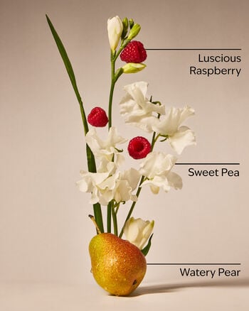 Sweet Pea Body Wash Body Wash