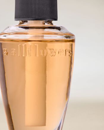 Fiji White Sands Wallflowers Fragrance Refill Wallflowers Fragrance Refill