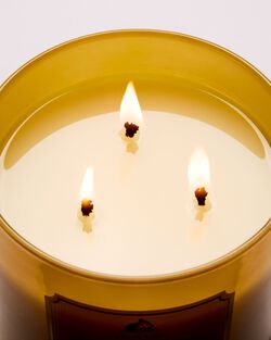 Kitchen Lemon 3-Wick Candle image number null