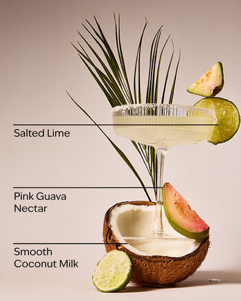 Guava Coconut Margarita Wallflowers Fragrance Refill Wallflowers Fragrance Refill