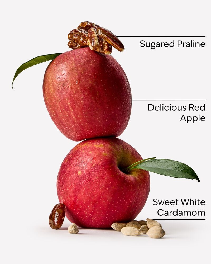 Apple Cinnamon Spice Concentrated Room Spray Concentrated Room Spray