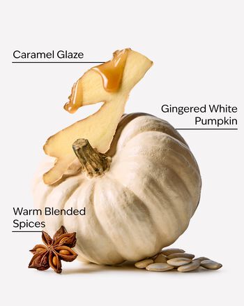 White Pumpkin Signature Single Wick Candle Single Wick Candle