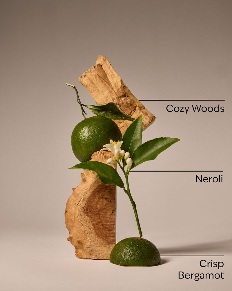 Book Loft Gentle & Clean Foaming Hand Soap Gentle & Clean Foaming Hand Soap