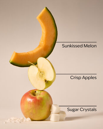 Pink Apple Punch Wallflowers Fragrance Refill Wallflowers Fragrance Refill