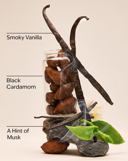 Noir Signature Single Wick Candle image number null