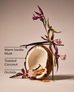 Tiki Beach Car Fragrance Refill image number null